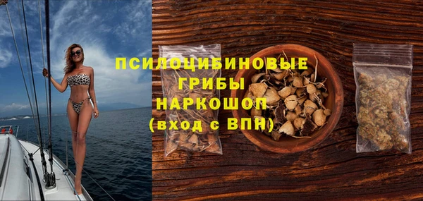 хмурый Пестово