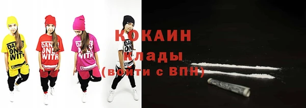 Альфа ПВП Пересвет