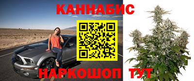 apvp Севастополь