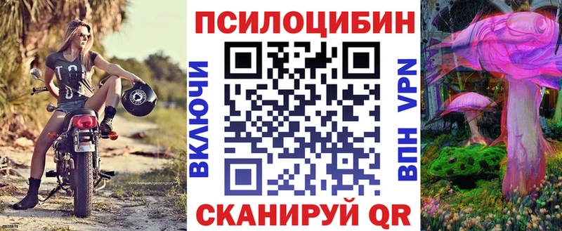 darknet Telegram Саранск Псилоцибиновые грибы Magic Shrooms
