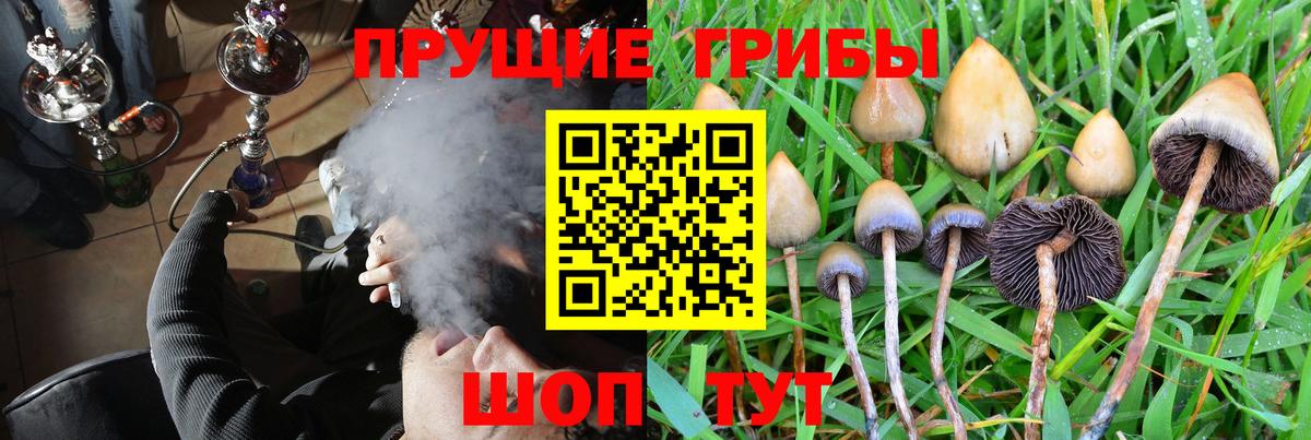 Псилоцибиновые грибы GOLDEN TEACHER  Галлюциногенные грибы Cubensis  Вход с VPN  Саранск 