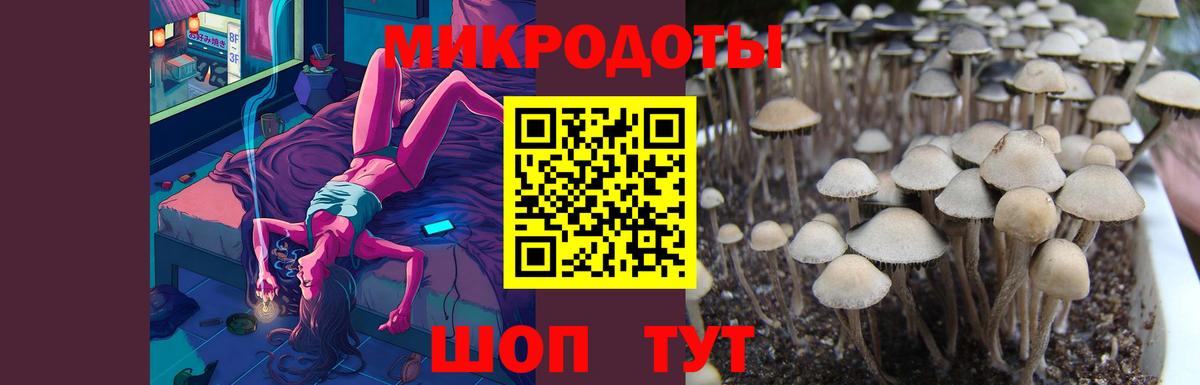 Псилоцибиновые грибы GOLDEN TEACHER Саранск